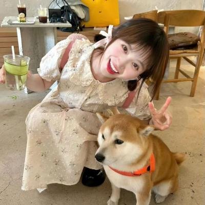 晴雅集